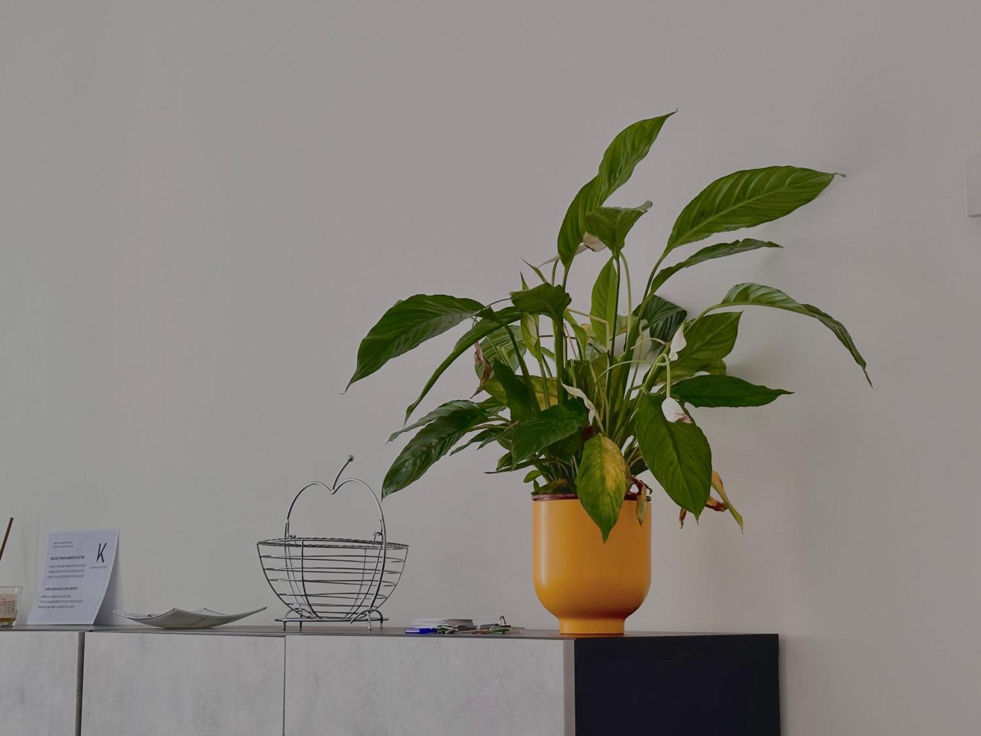 K House Apartment บารี ภายนอก รูปภาพ